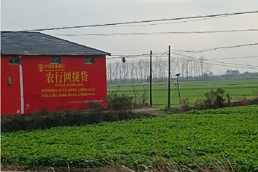 梨林如何防止墙体广告褪色呢？