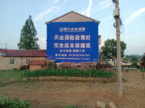 梨林墙体广告为何受追捧？